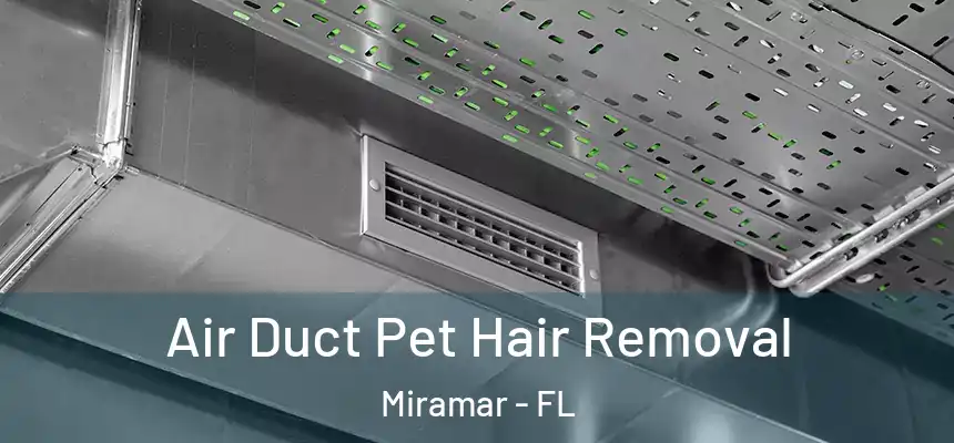 Air Duct Pet Hair Removal Miramar - FL