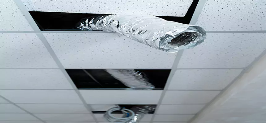 Affordable HVAC Sanitizing After Pest Removal in Miramar
